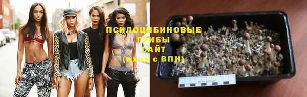 Альфа ПВП Алексин