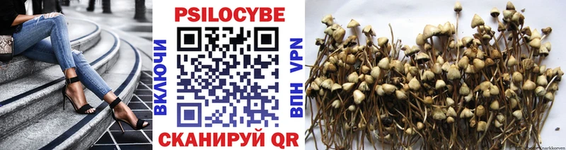 Псилоцибиновые грибы ЛСД  Ставрополь 